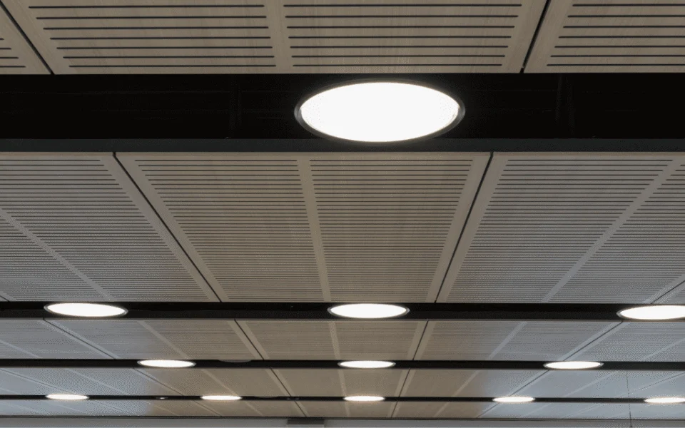Jacqueline Wilson Hall Refurb – banner image 5